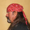 Biker_Dana_Red.jpg (65052 bytes)