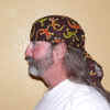 Geckos.jpg (58759 bytes)