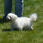 Hollister10_13.jpg