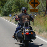 Hollister10_18.jpg
