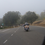 LG03.jpg